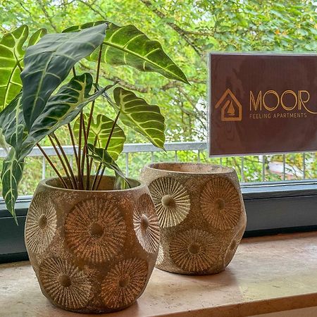 Moor Feeling Apartments Worpswede Luaran gambar