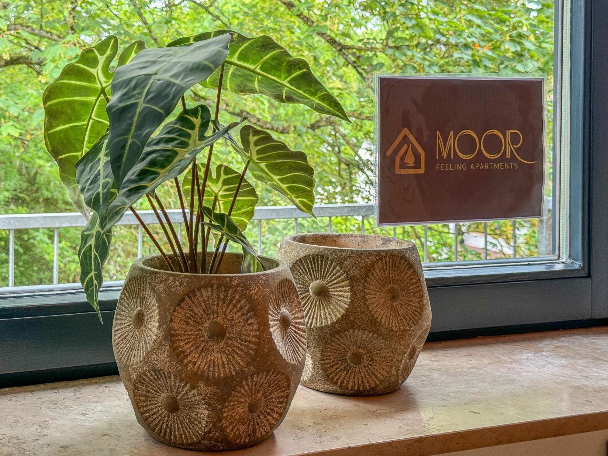 Moor Feeling Apartments Worpswede Luaran gambar